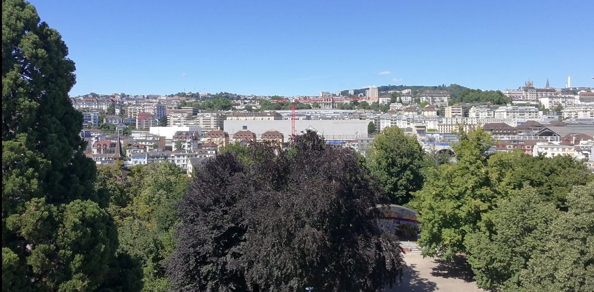 association MDCL - 1650